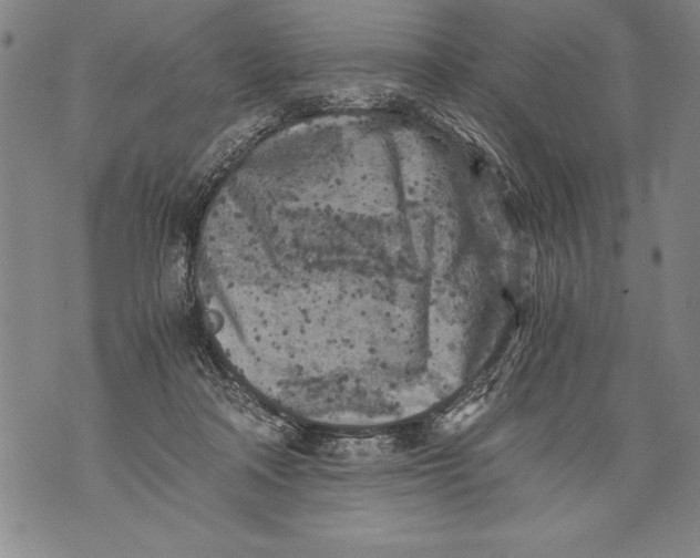 X0000076090314200610152325