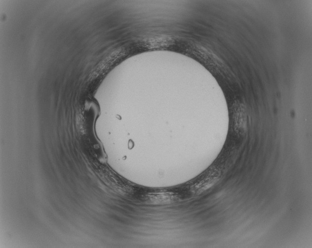 X0000076090316200610152325