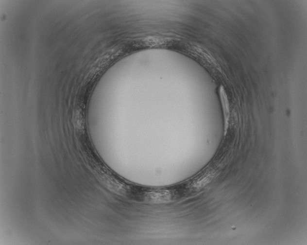 X0000076090317200610152325