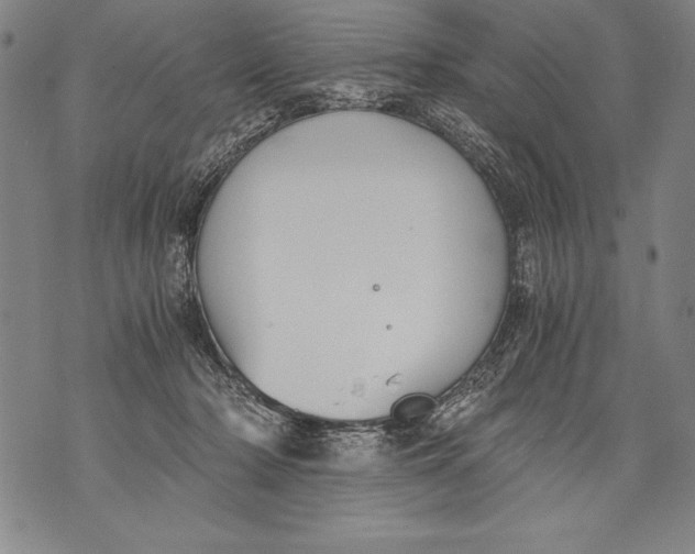 X0000076090318200610152325