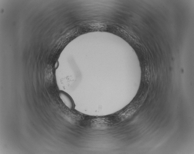 X0000076090320200610152325