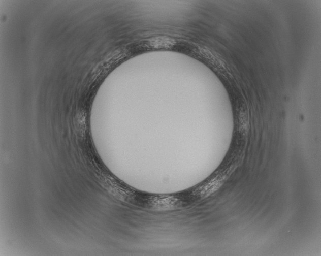 X0000076090321200610152325