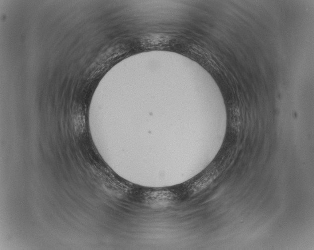 X0000076090324200610152325