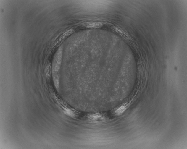 X0000076090325200610152325