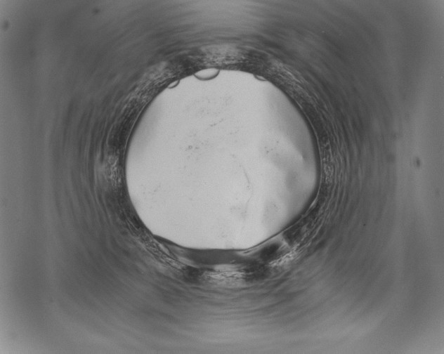 X0000076090327200610152325