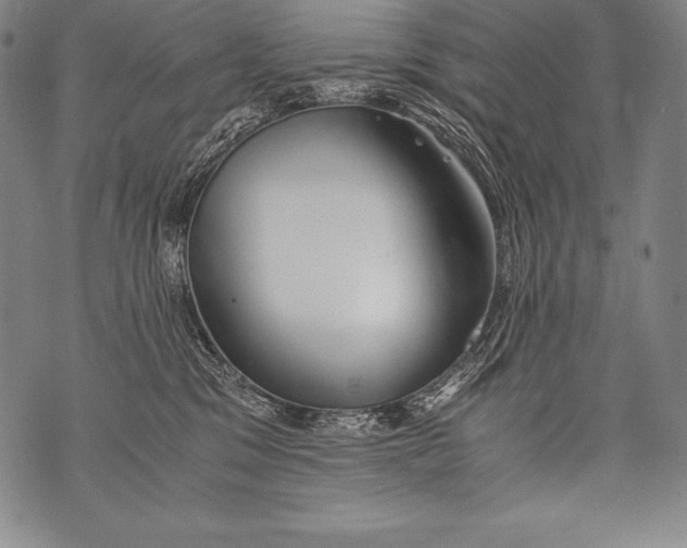 X0000076090329200610152325