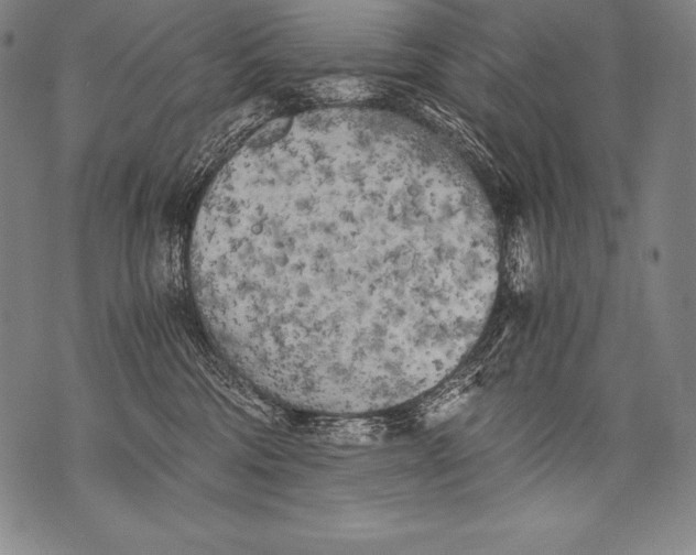 X0000076090330200610152325