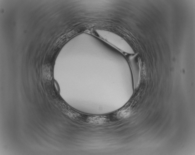 X0000076090331200610152325