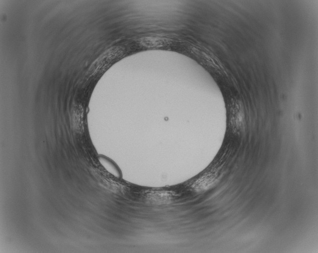 X0000076090332200610152325