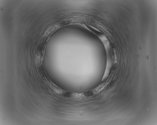 X0000076090333200610152325