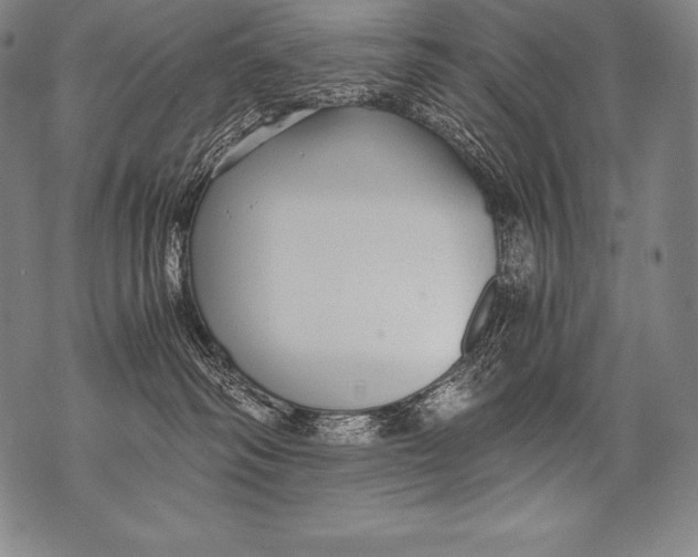 X0000076090334200610152324