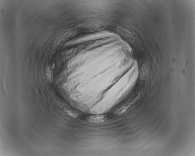 X0000076090335200610152324