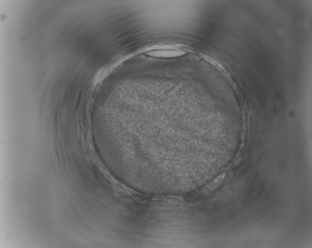 X0000076090337200610152324