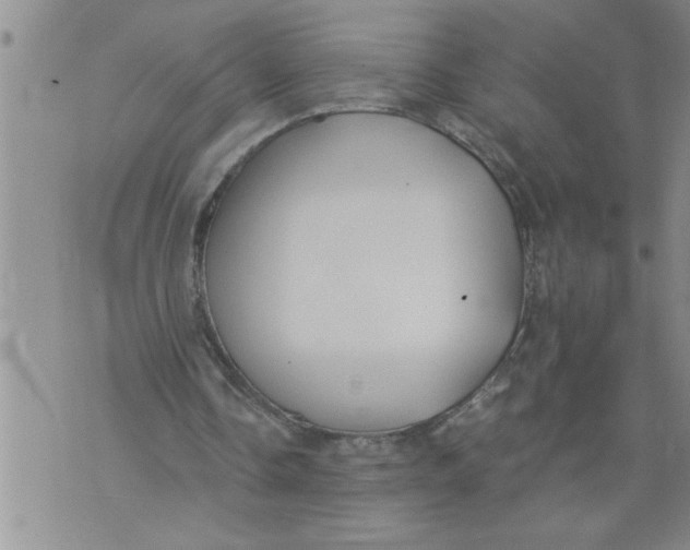 X0000076090338200610152324