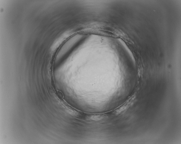 X0000076090341200610152324