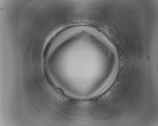 X0000076090342200610152324