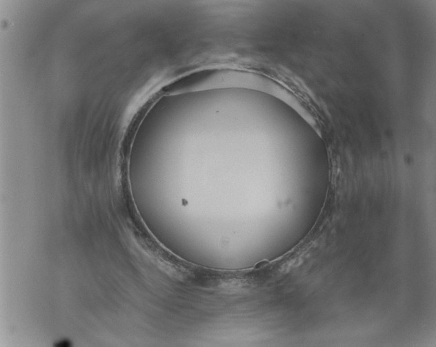 X0000076090344200610152324