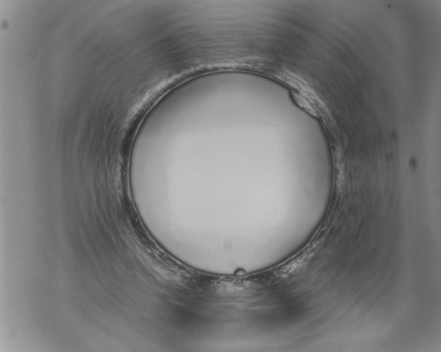 X0000076090346200610152324