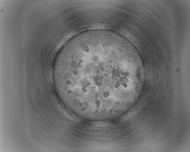 X0000076090347200610152324