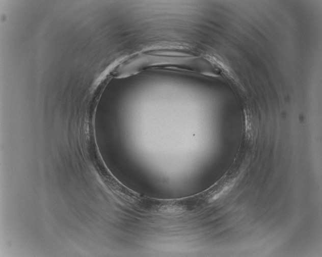 X0000076090348200610152324