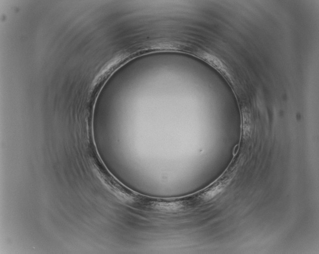 X0000076090349200610152324