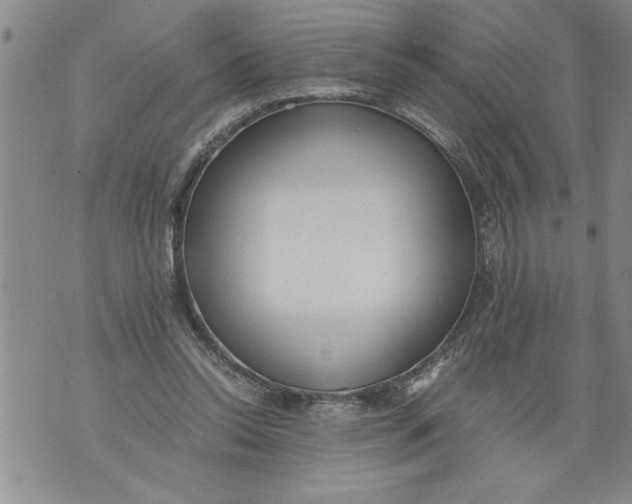 X0000076090350200610152324