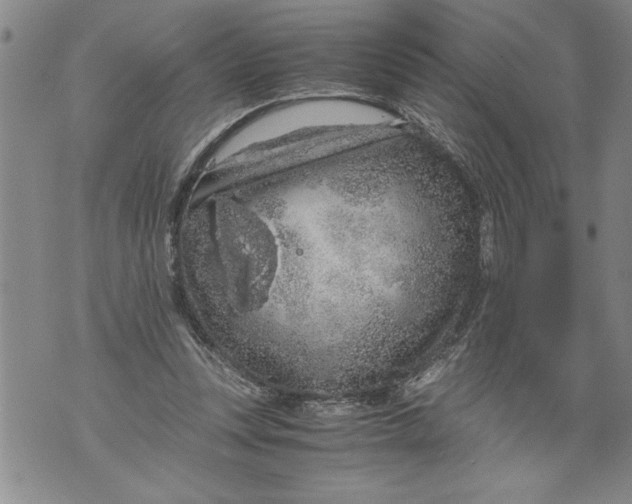 X0000076090351200610152324