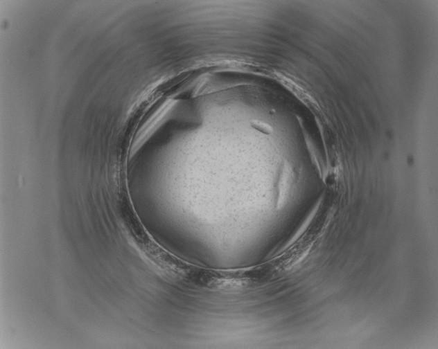 X0000076090352200610152324