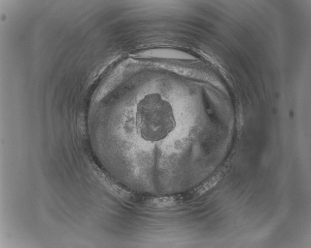 X0000076090353200610152324