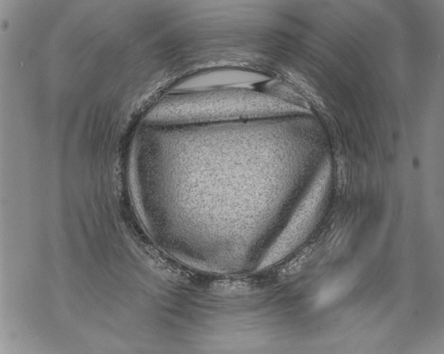 X0000076090354200610152324