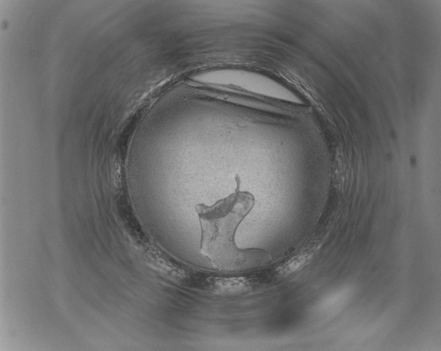 X0000076090355200610152324