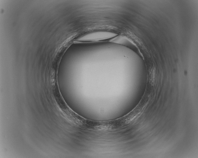 X0000076090356200610152324