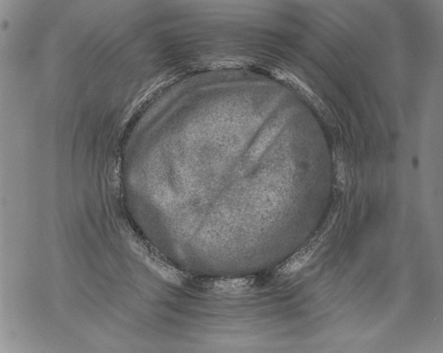 X0000076090357200610152324