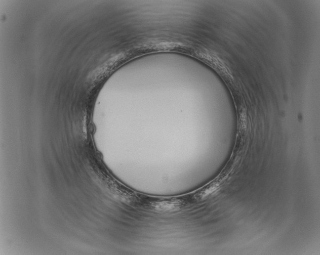 X0000076090358200610152324