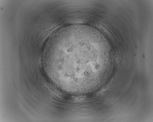 X0000076090359200610152324