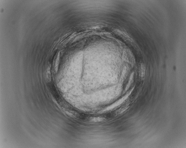 X0000076090360200610152324