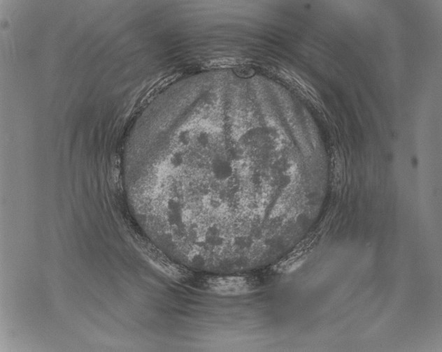 X0000076090361200610152324