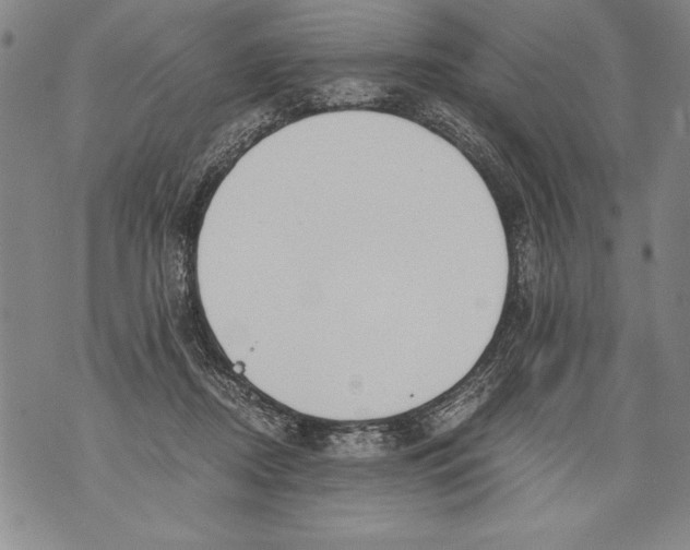 X0000076090362200610152324