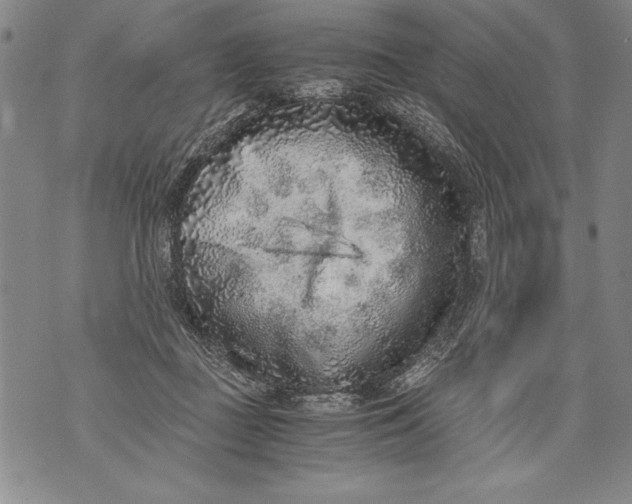 X0000076090363200610152324