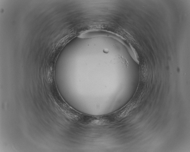 X0000076090364200610152324