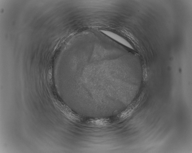 X0000076090365200610152324