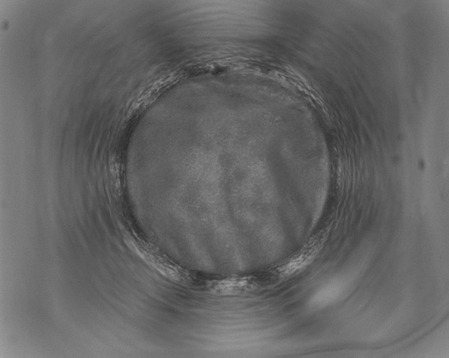 X0000076090366200610152324