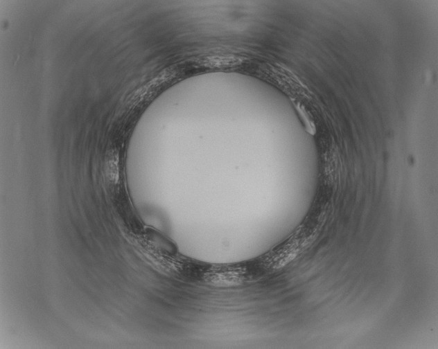 X0000076090368200610152324