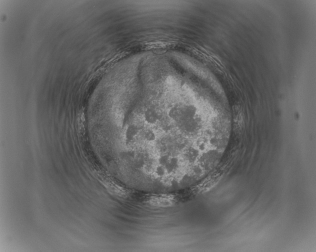 X0000076090369200610152324