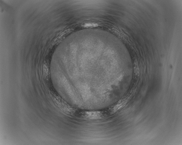 X0000076090371200610152324