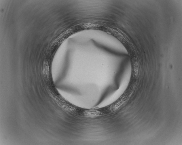 X0000076090372200610152324