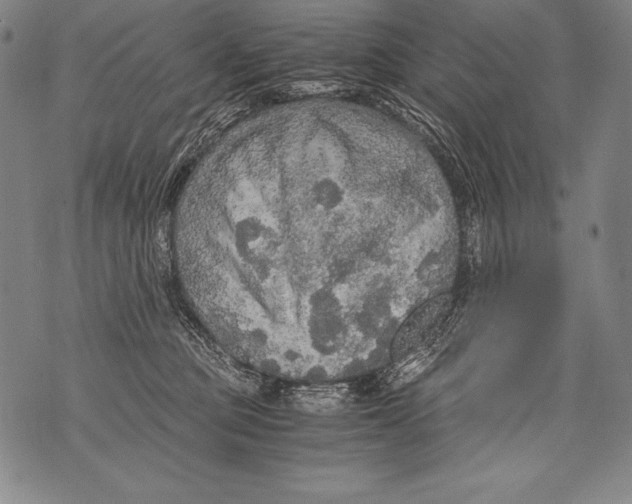 X0000076090373200610152324