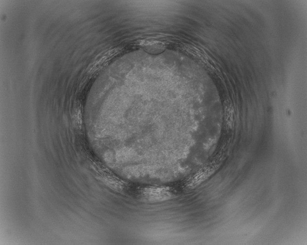 X0000076090375200610152324