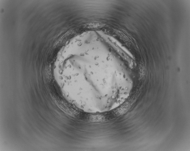 X0000076090376200610152324