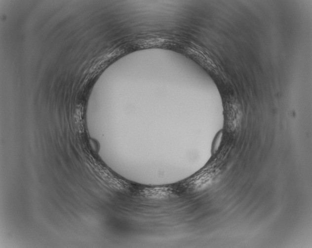 X0000076090378200610152324